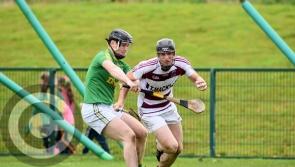 Fixture and ticket details for Ulster hurling and camogie final double header