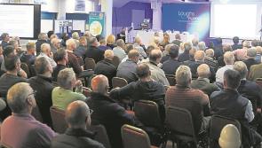 Salmon conference held in Foyle area