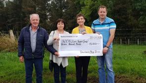 Desertmartin Pony Drive raises £13,000 for liver disease charity