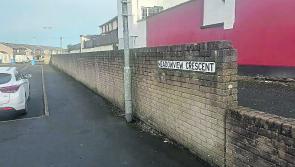 Meadowview landscaping plans welcomed by Derry SDLP MLA