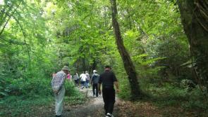 Derry’s older citizens encouraged to join winter walking groups
