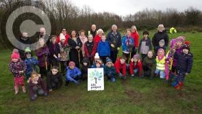 Gallery: Community Tree Planting Day at Top of the Hill