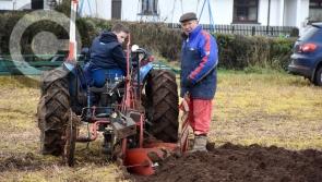 Gallery: Magherafelt Ploughing Championships