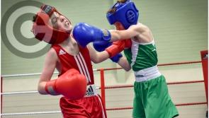 Gallery: Local boxers star as county finals come to an end