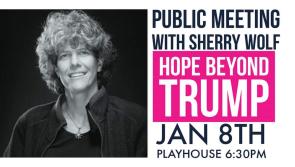 US Socialist Sherry Wolf to speak in Derry this week