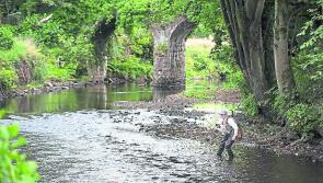 Anglers urged to make catch returns for 2019