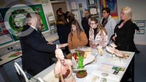 GALLERY: Oakgrove Integrated College Open Night
