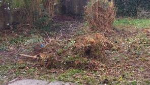 Fresh start to the new year in Oakfield area