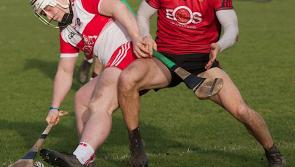 Derry hurlers cruise to home win over Warwickshire