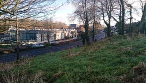 Prehen housing application approved despite concerns over trees