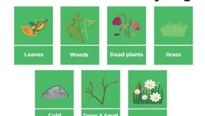 Phased roll out of green and garden waste begins