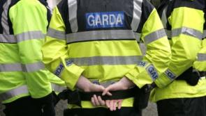 REVEALED: Gardaí to be deployed to Border areas as Cabinet approves transfer of asylum seekers to UK