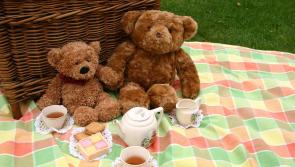 Derry families set to take part in the city's largest ever teddy bears picnic this weekend