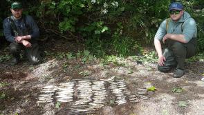 Fish killed as slurry spills into County Derry river