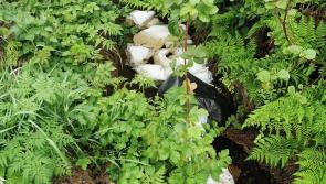 ‘Disgust’ as soiled incontinence pads dumped in stream