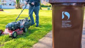 14,000 brown bins for garden waste delivered to homes across Derry's council area