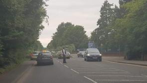 Tree falls down across busy Derry road - motorists urged to avoid the area