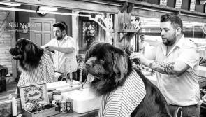 Derry barbers glad to be reopen but confusion exists over how things will be managed