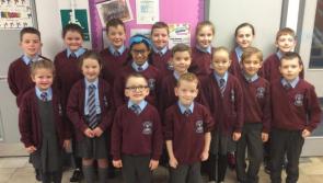 Fifth Eco-Schools award for primary school