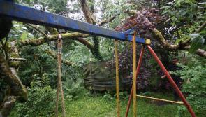 Huge trees crashes down on top of play equipment in a Derry garden