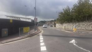 36 incidents of dog fouling found on the one stretch of road in Derry