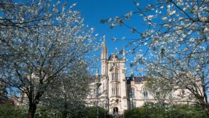 Cuts to nursing places will affect Magee