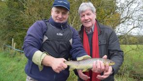 New TV programme looks at life on and around Lough Foyle 