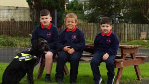 Derry school becomes the first mainstream school in Northern Ireland to get its own therapy dog