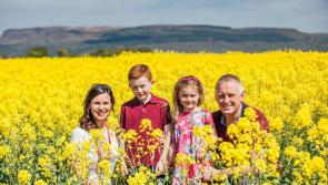 Local firms taste success at national awards