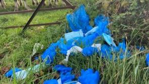 Vital personal protection equipment dumped at the side of a road in Derry