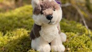 Wildlife sanctuary on the Derry/Donegal border now has its own range of teddy bears