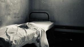 Online lecture to give insight into hunger striker