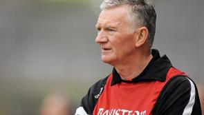 Twinning with southern clubs would help Ulster hurling, says Magill 