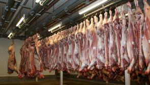 Derry meat plant closes departments following Covid-19 outbreak