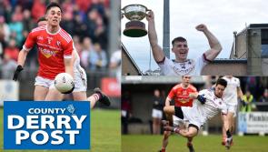 Cast your vote for 2020 senior club player of the year
