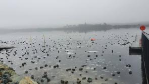 Warnings issued after parts of two Derry lakes freeze over during the current icy conditions