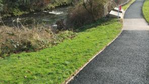 Lifesaving equipment beside a County Derry river vandalised once again