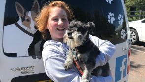 Derry dog-walking and behaviour business gets support to develop during lockdown 