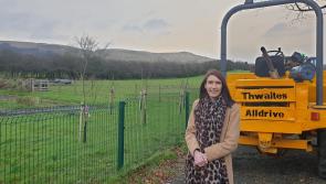 New walking route planned for Moydamlaght Forest