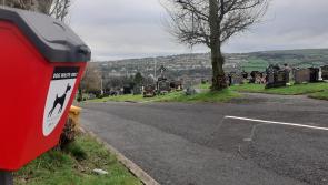 Appeal for dogs to be banned from cemeteries