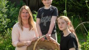 Organisers amazed by the response to new 'grow your own food' project in Derry