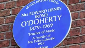 Blue plaque applications process suspended
