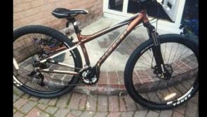 Appeal issued after two bikes stolen at a Derry park earlier today