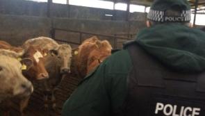 Concern at recent spike in rural crime