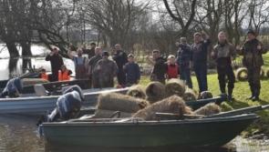 New project protects wildlife along the River Bann