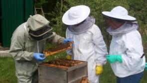 Derry group offering course that may BEE right for you?