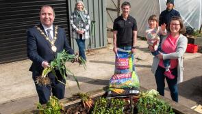 Huge boost for Derry-based 'grow your own food' project