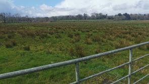Maghera land acquired by council for new green space