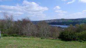 Plans submitted for City Cemetery expansion