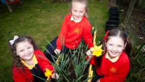 Trio of important awards for Derry primary school